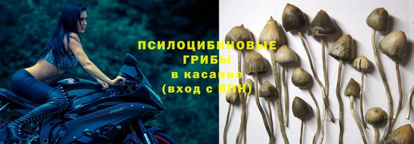 ешки Шадринск