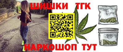 mdpv Гатчина