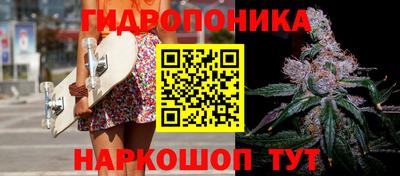 mdpv Гатчина