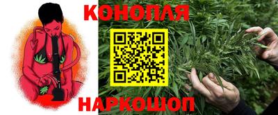 МДПВ Гагарин