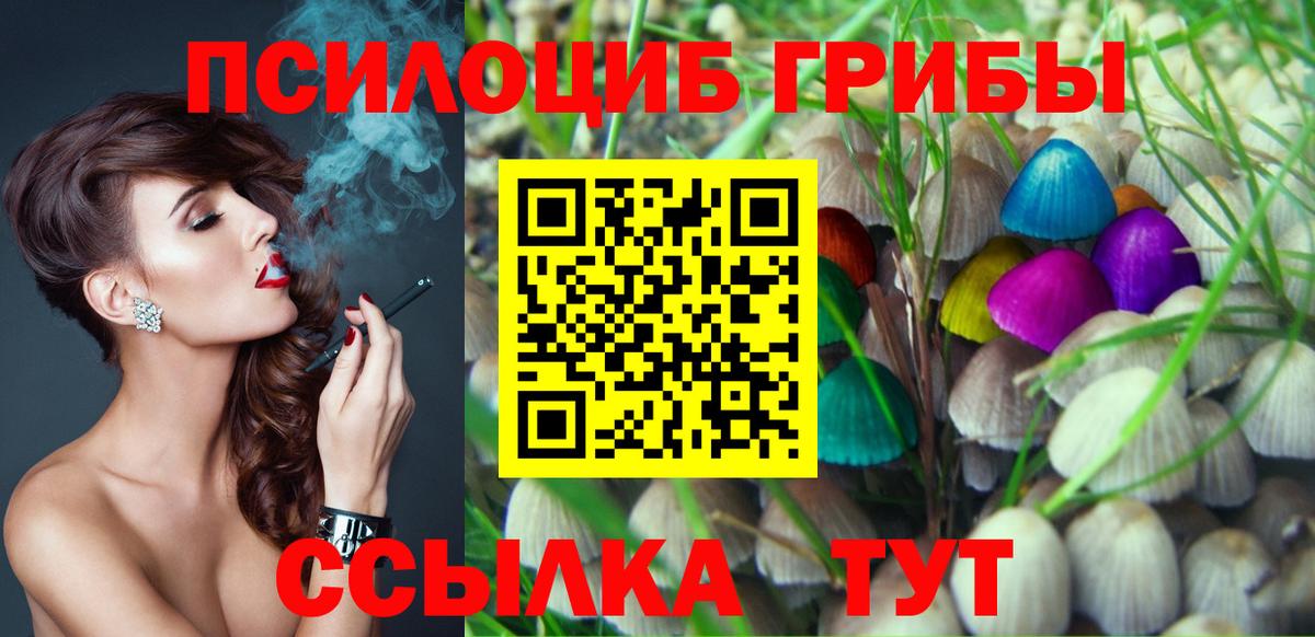 Псилоцибиновые грибы ЛСД Курган