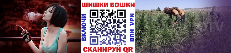 Марихуана план Курган